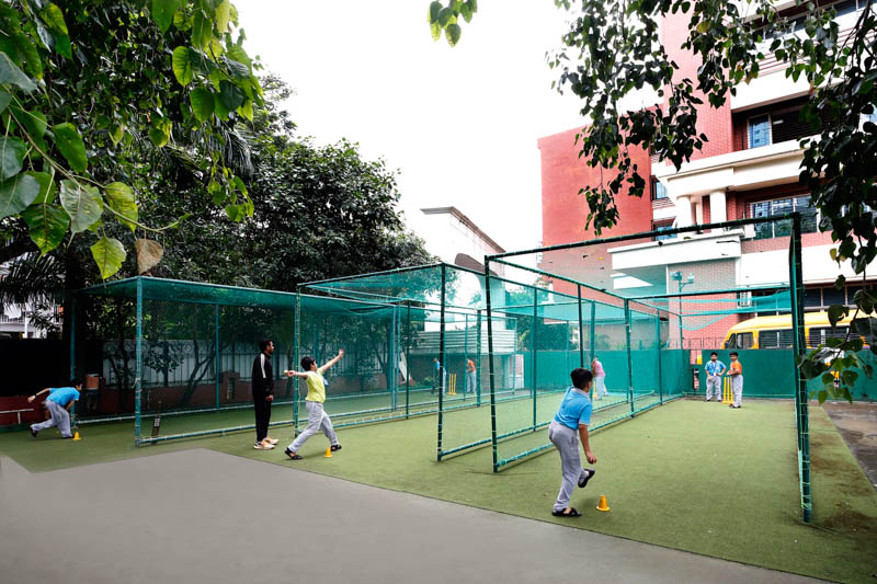 Cricket Turf